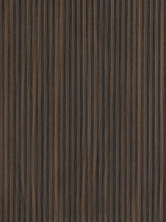 Riga LS53