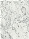 Fiocco FD34