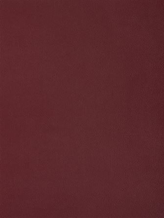 Primofiore UB16