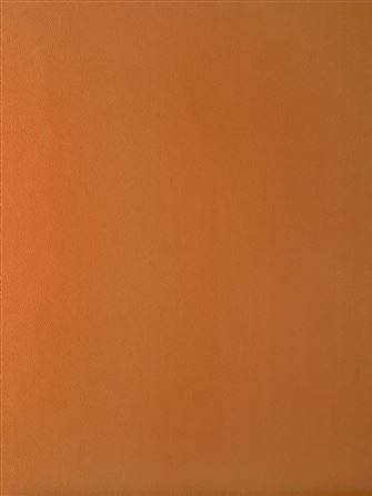 Primofiore UB18