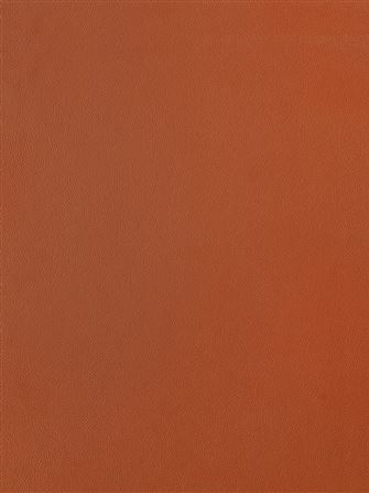 Primofiore UB55