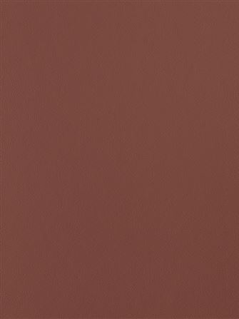 Primofiore UB79