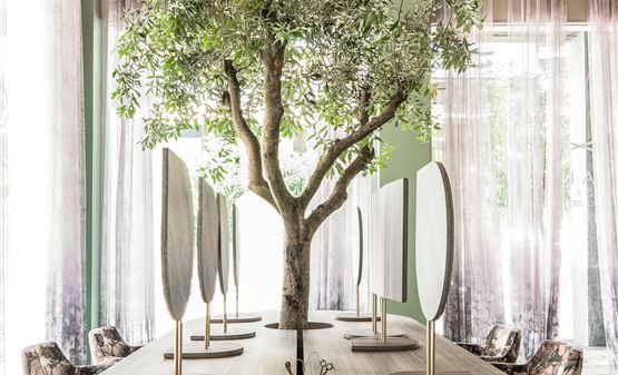 Theano Hair Garden