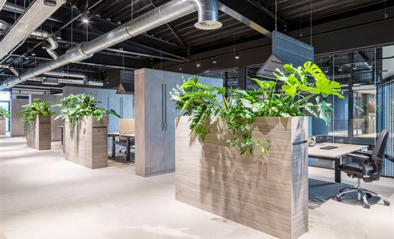 DecoLegno offices and showroom