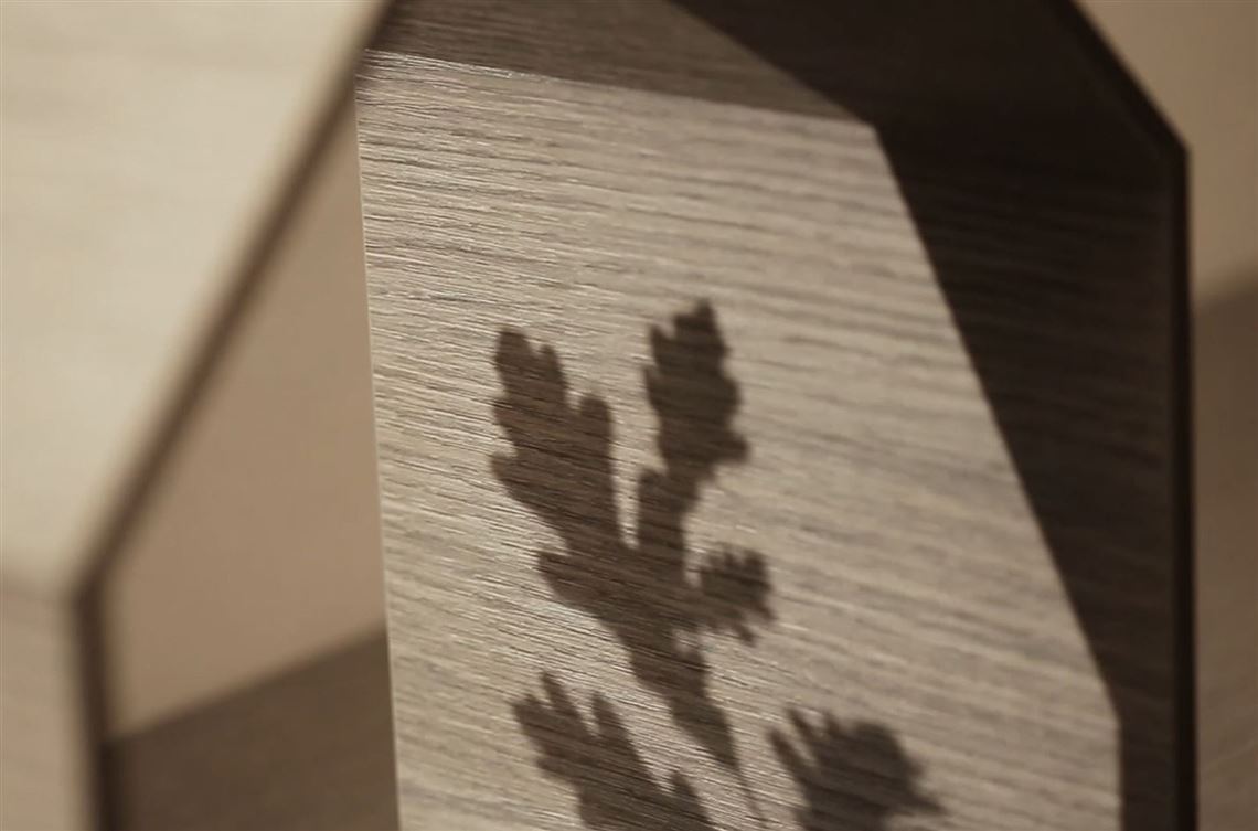 Video Quercia