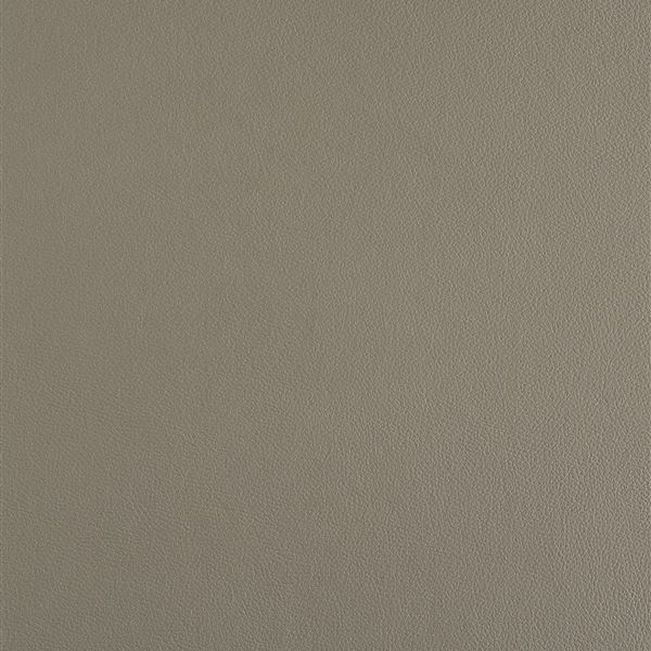text image