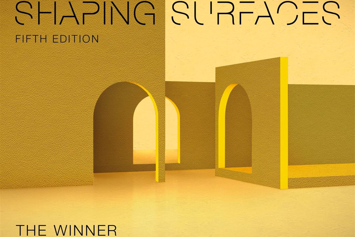 Shaping Surfaces - The Winner
