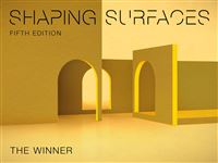 Shaping Surfaces - The Winner
