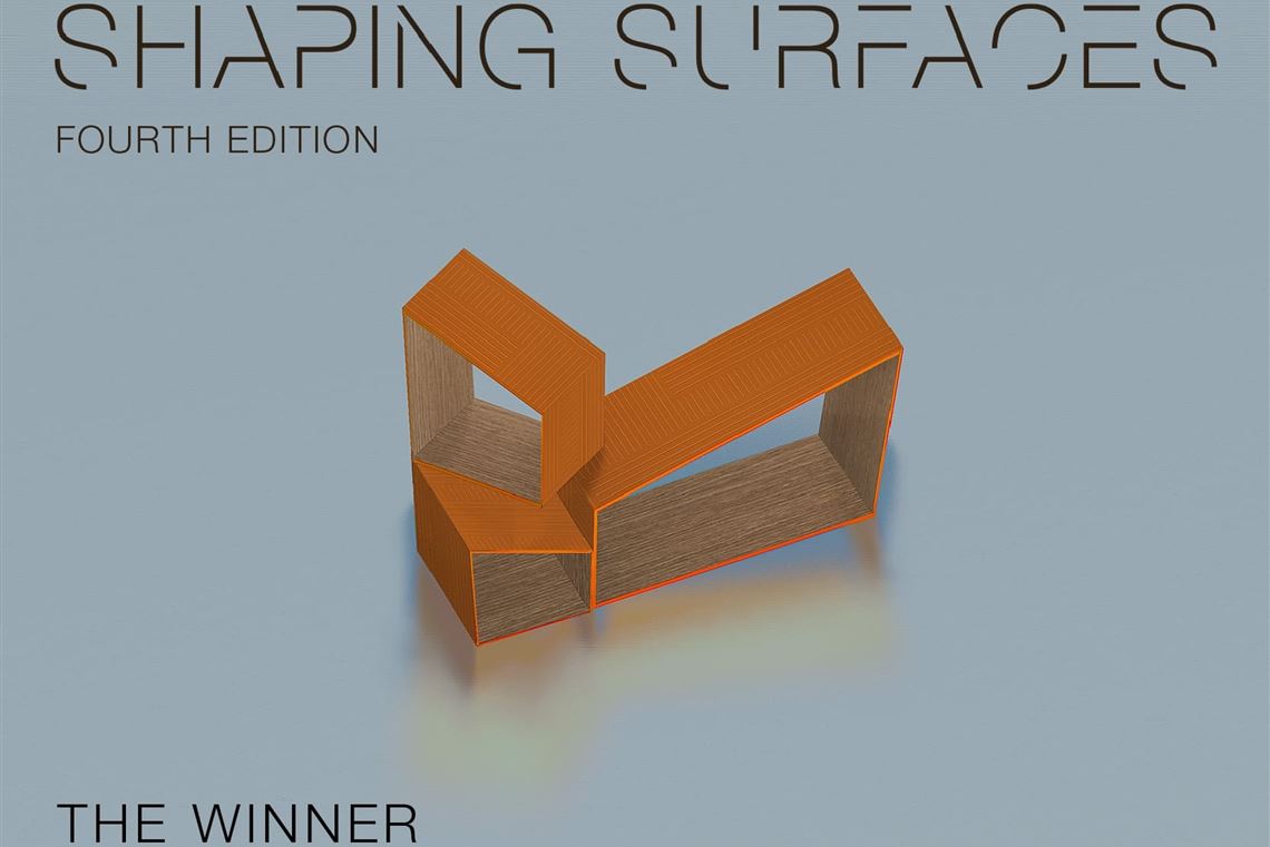 Shaping Surfaces 4 - The Winner